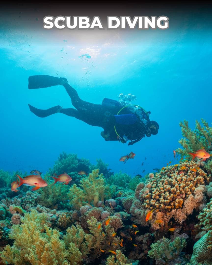Przygody nurkowe w Fethiye lub Ölüdeniz