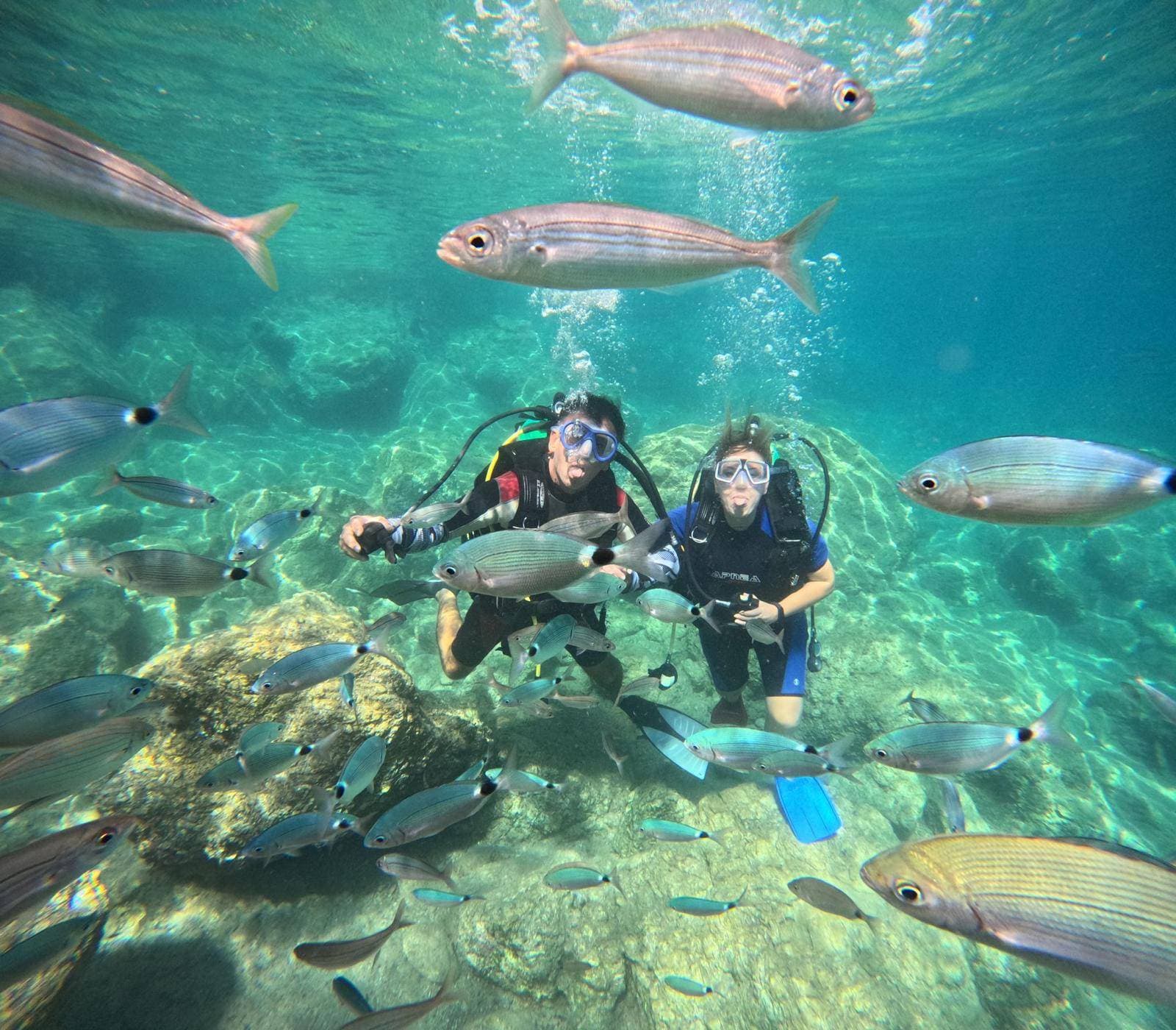 Barakuda Teknesi ile Scuba Dalış Turu