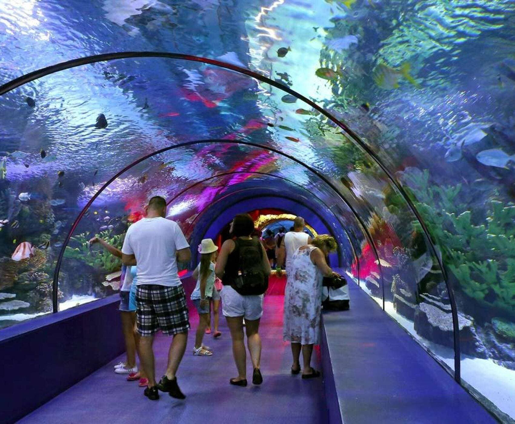Alanya’dan Antalya Akvaryumu ve Şehir Turu